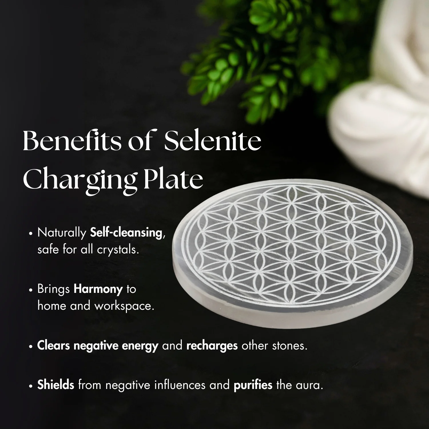 9 Chakra Selenite Charging Plate - Image 8