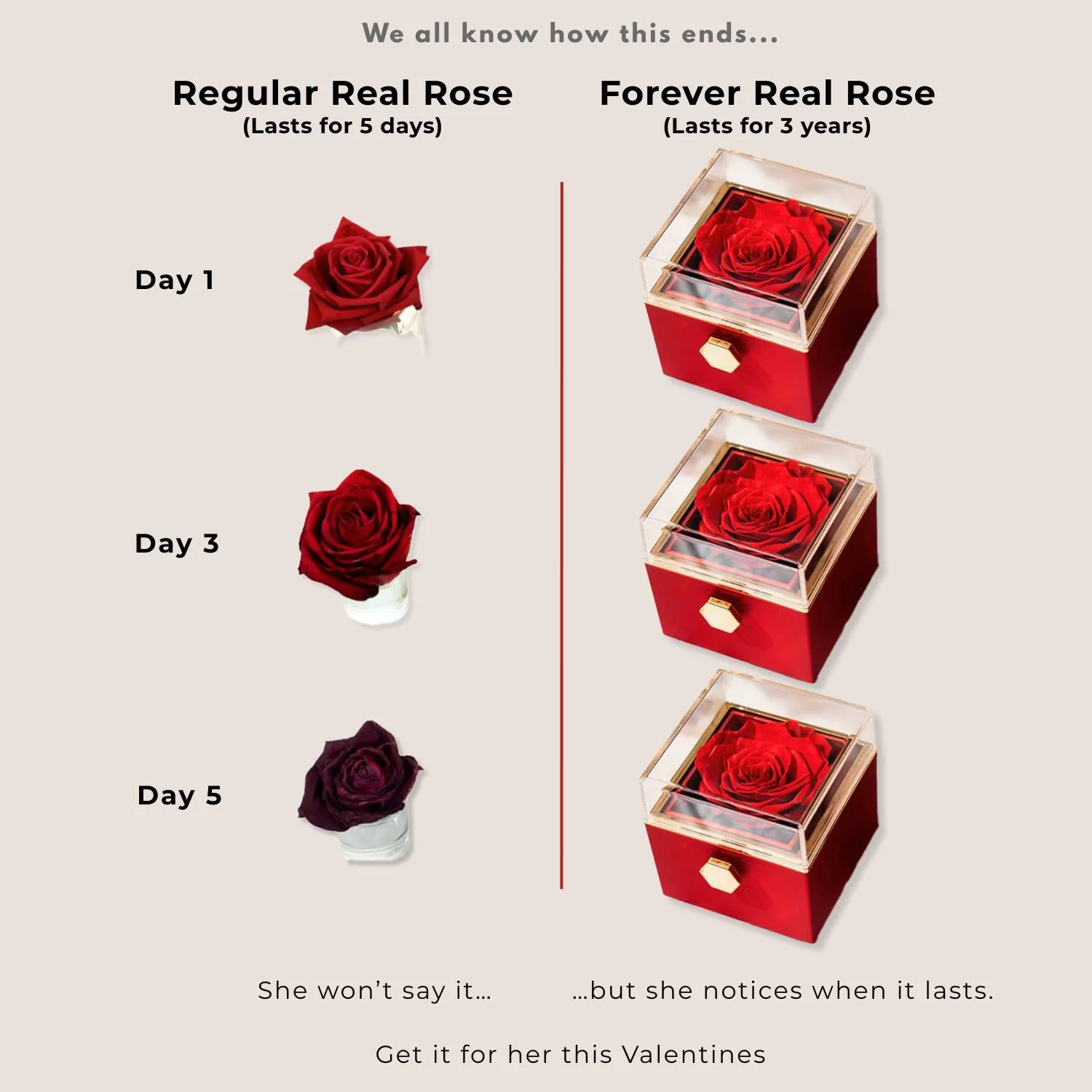 Valentine's Rotating Rose Preserved Rose Jewellery Box With Rings - Image 4