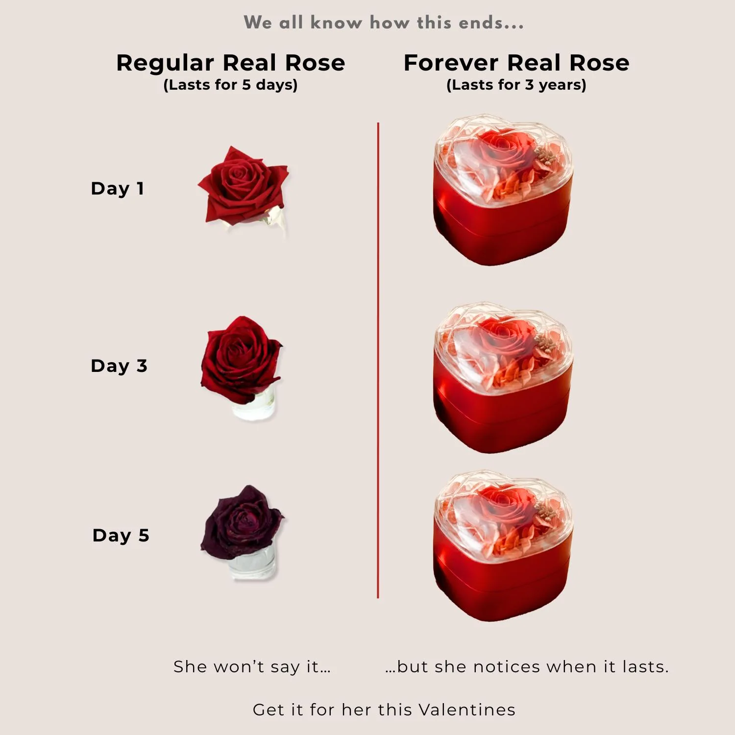 Valentine's Heart Shaped Preserved Rose Jewellery Box With Earrings - Image 4